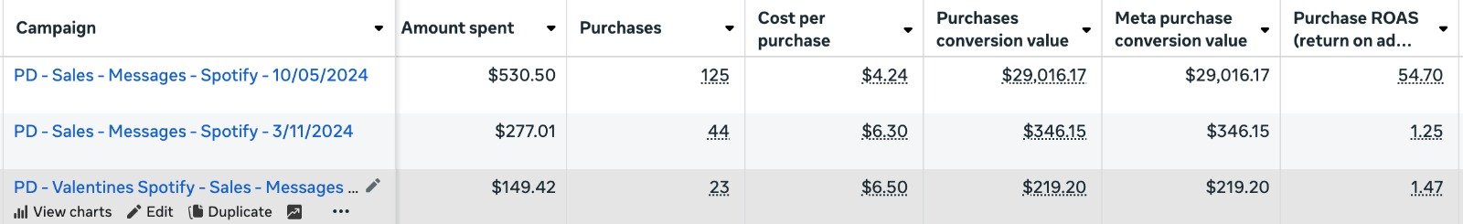 shopify ads campaign